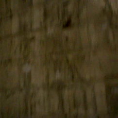 Bricks and Hands