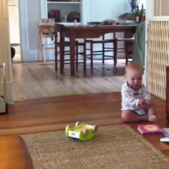 Bee Boo Crawl